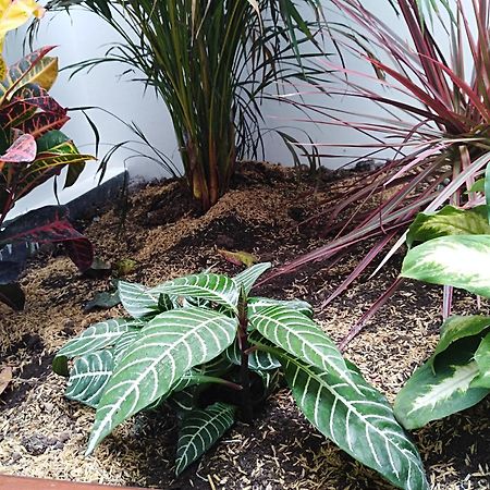 Hotel Jardin 38 Pasto Zewnętrze zdjęcie