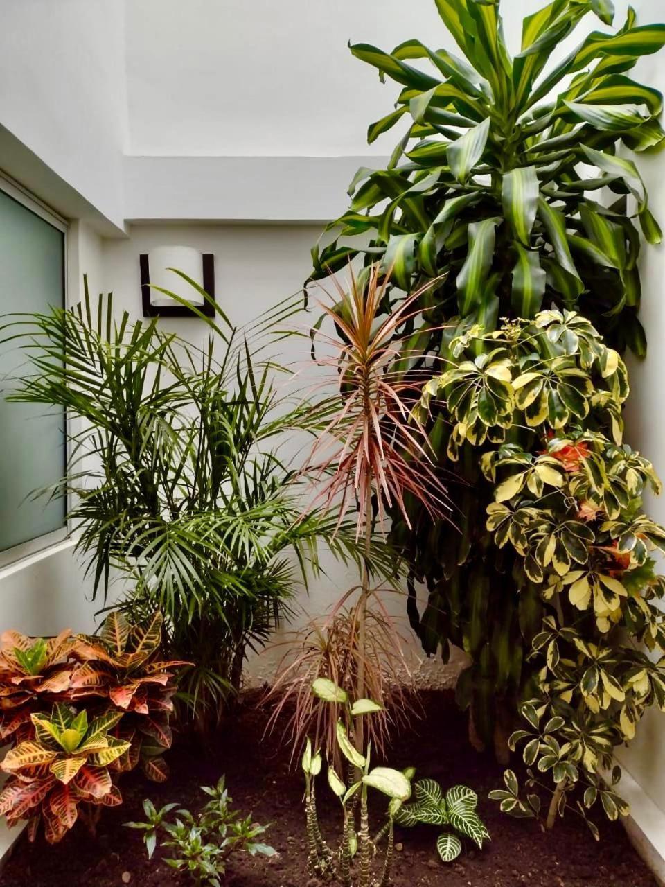 Hotel Jardin 38 Pasto Zewnętrze zdjęcie