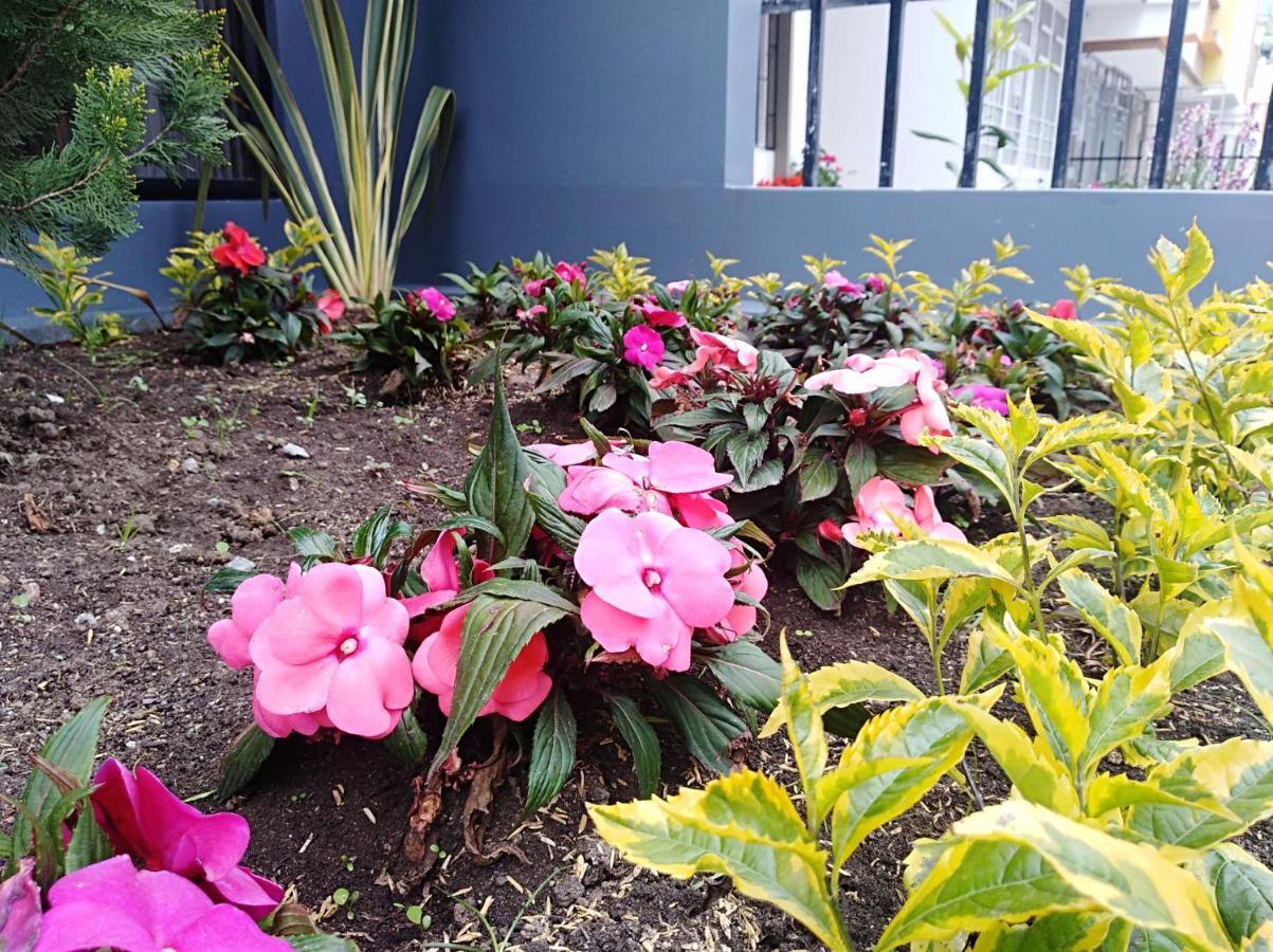 Hotel Jardin 38 Pasto Pokój zdjęcie