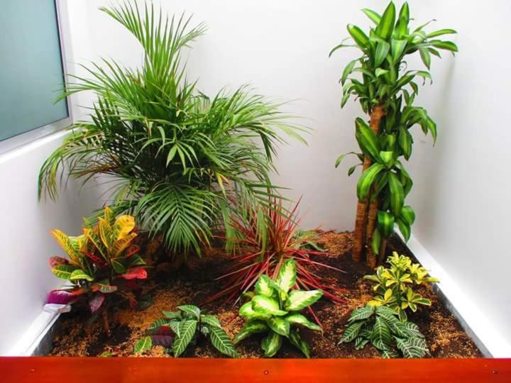 Hotel Jardin 38 Pasto Pokój zdjęcie